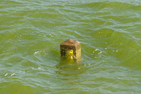 Pillars Measure water level in the reservoirの写真素材