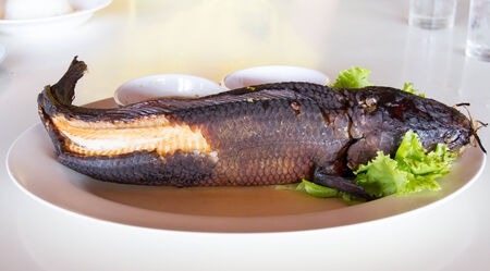 salted grill snakehead fish with spicesの写真素材