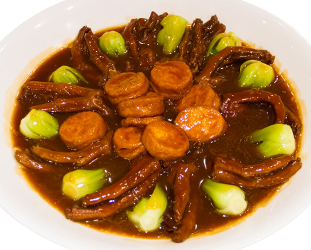 Braised goose with tofu in white dishの写真素材