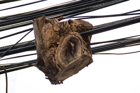 Timber on the power cable