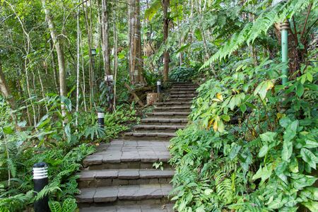 walk way in the garden