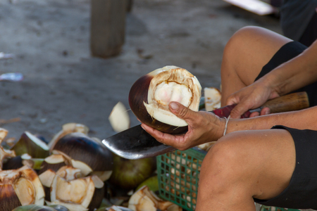 Toddy palm Peelの写真素材