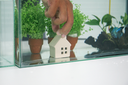 A hand putting an aquarium decoration.の写真素材