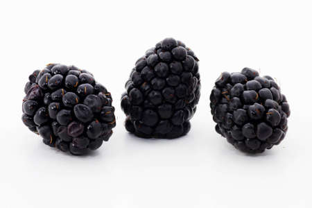 Blackberriesの写真素材