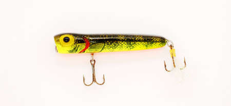 Topwater lure for bass