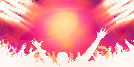 Picture of the crowd from behind at a concertの写真素材