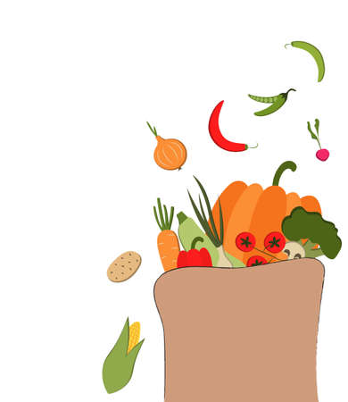 Vector paper package with ripe vegetables from the farm. Colorful vector illustration on white background. Hand-drawn. Template. Mock up.のイラスト素材