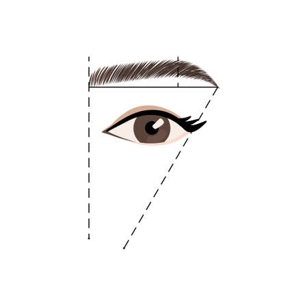 Perfect eyebrow shape tutorial. Vector stock templateのイラスト素材