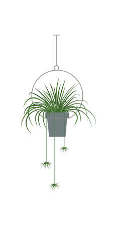 A collection of indoor plants and flowersのイラスト素材
