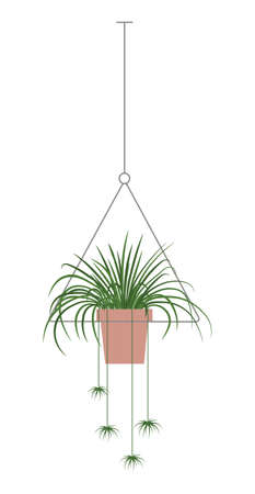 A collection of indoor plants and flowersのイラスト素材