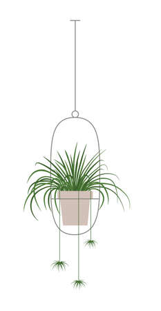 A collection of indoor plants and flowersのイラスト素材