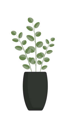 Home plant in flat style. Modern elegant home decor. Vector illustration isolated on white backgroundのイラスト素材