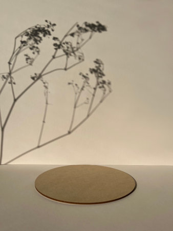 Empty round podium on white background with shadow of dried flowers. Mockup for product...