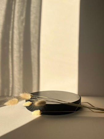 Minimal scene with black podium and dried flowers on white background.