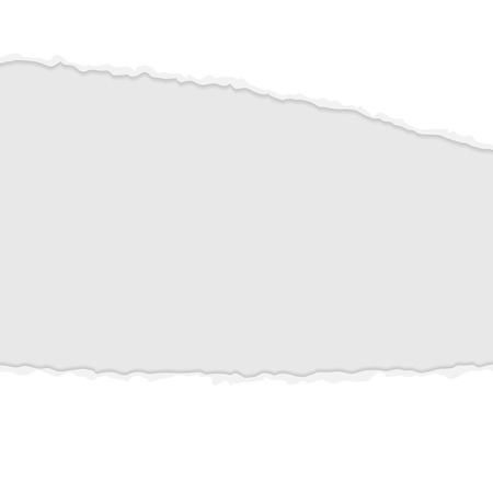 vector of ripped open paper colored whiteのイラスト素材