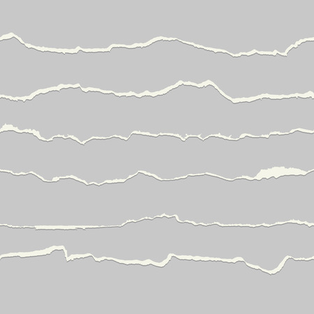 collection of seamless paper ripps gray and whiteのイラスト素材