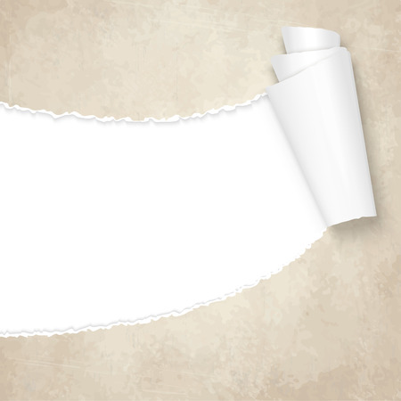vector of ripped openold vintage paperのイラスト素材