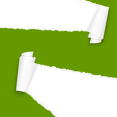 vector of ripped open paper colored greenのイラスト素材