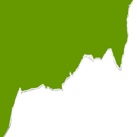 green ripped open paper edge with white backgroundのイラスト素材