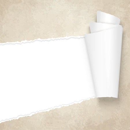vector of ripped openold vintage paperのイラスト素材
