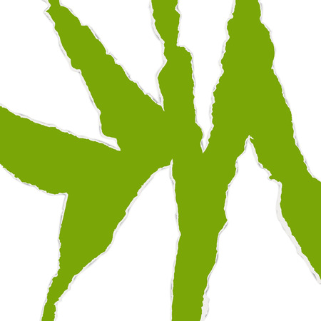 green ripped open paper collection with white backgroundのイラスト素材