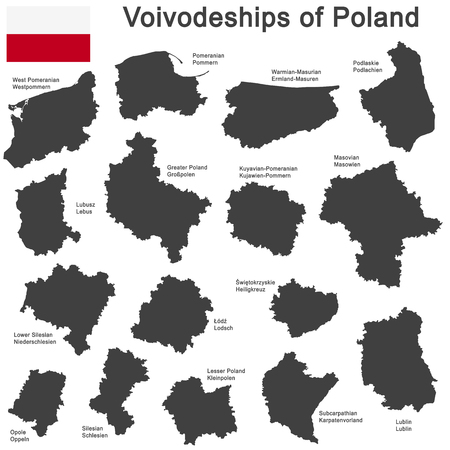 european country Poland and detailed voivodeships (provinces)のイラスト素材