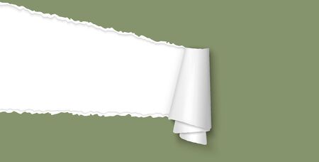 Green colored ripped open paper with paper curl and space for textのイラスト素材