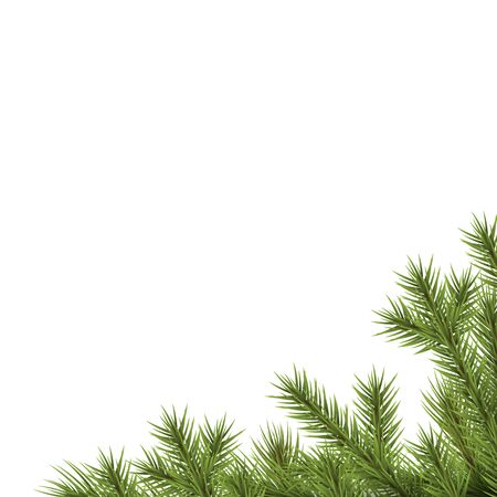 fir branch on lower right corner with white background, template for christmas time conceptsのイラスト素材