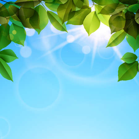 eps vector illustration with green leaves tree foliage and realistic nature blue sky clouds outdoor backgroundのイラスト素材