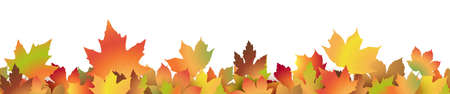 eps vector file with end of summer or fall maple colored leaves on lower side, seamless panorama styleのイラスト素材