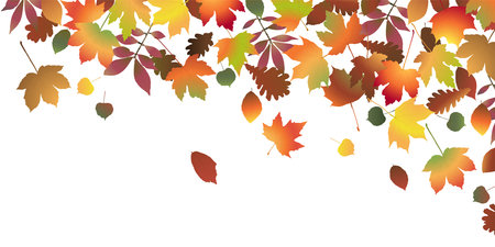 eps vector file with end of summer or fall colored leaves on upper side backgroundのイラスト素材