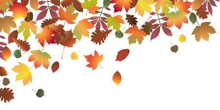 eps vector file with end of summer or fall colored leaves on upper side backgroundのイラスト素材