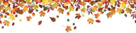 eps vector file with end of summer or fall colored leaves on upper side, seamless panorama style backgroundのイラスト素材