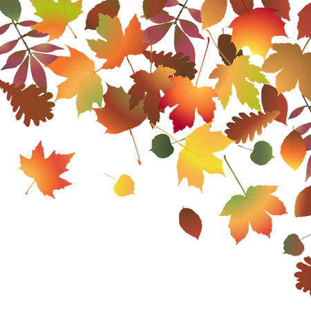 eps vector file with end of summer or fall colored leaves on upper side backgroundのイラスト素材
