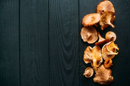 Chanterelle mushrooms on a black matte wooden background. Place for an inscription.の写真素材