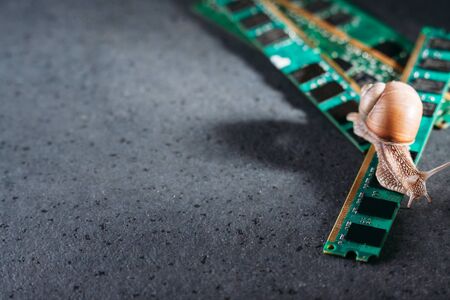Snail on the slats of RAM. Old obsolete memory. Slow RAM. Computer components. Dark background.の写真素材