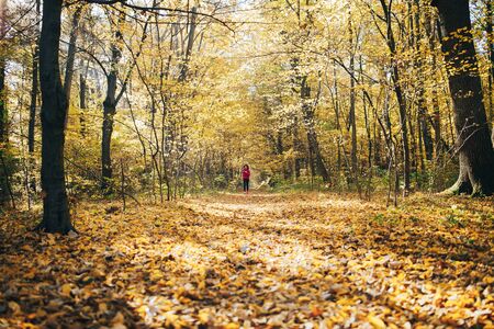 Woman running during autumn morning forestの写真素材