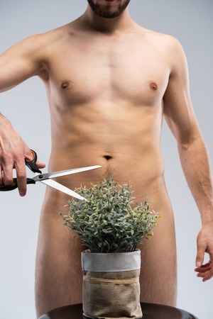 Partial view of nude man cutting green plant with secateurs isolated on grey.の写真素材