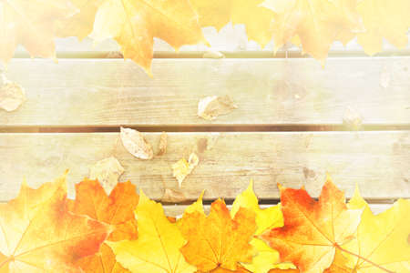 Autumn Background Framed with Leaves. Space for Text.の写真素材