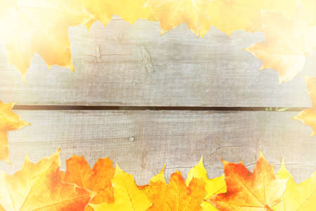 Autumn Background Framed with Leaves. Space for Text.