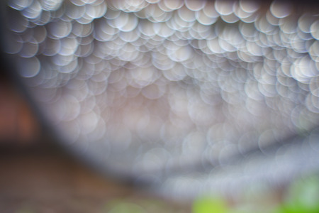 abstract nature background with glare of the sun and bokeh.の写真素材