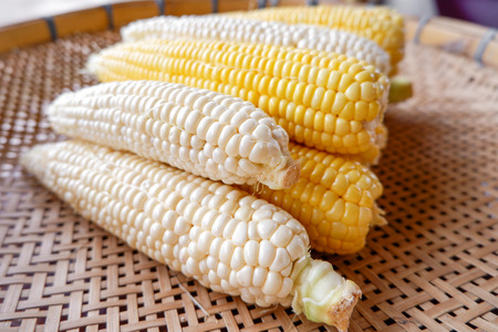 Pure white and Yellow corn, on threshing basket, Product of Thailand