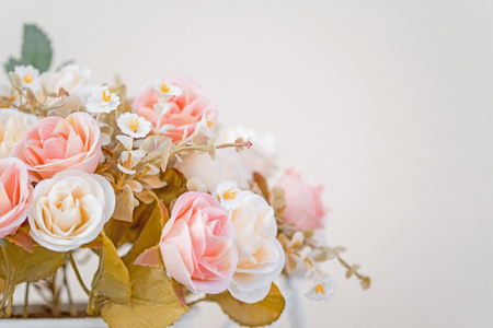 Beautiful pink flower in flower pot used for home decoration.の写真素材