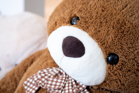 Teddy bear doll resting comfortably on soft focus background and vintage color tone. Close up Big...