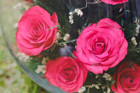 Close-up red roses adorned in glass jars to decorate the interior of the house. Gift ideas for lovers.の写真素材
