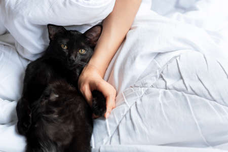 A black Thai cat snuggled up to the hand of a woman scratching his chin on a white bed.