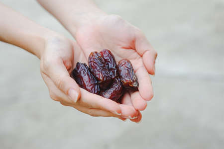 Dates in a woman's hand are dried, brown fruits that can be eaten whole with the skin and have a very sweet taste.の写真素材