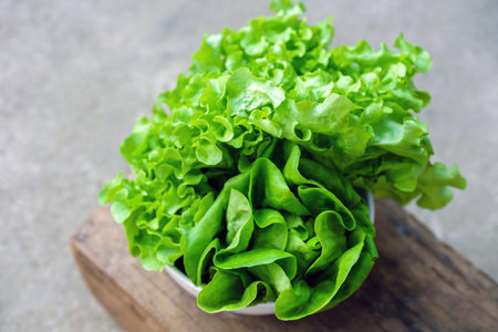 Leafy greens or lettuce in a white bowl on a wooden background is a food that adds fiber to the body. Healthy food concept.の写真素材