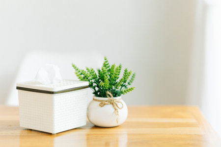 Air-purifying plants in small pots decorate a table and have bright window lighting. Home decorating ideas.の写真素材