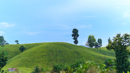 View of fresh green fields on hills and bright blue skies in rural Thailand.